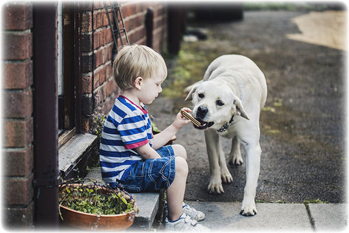 5 опасных заблуждений о дружбе ребенка и собаки!